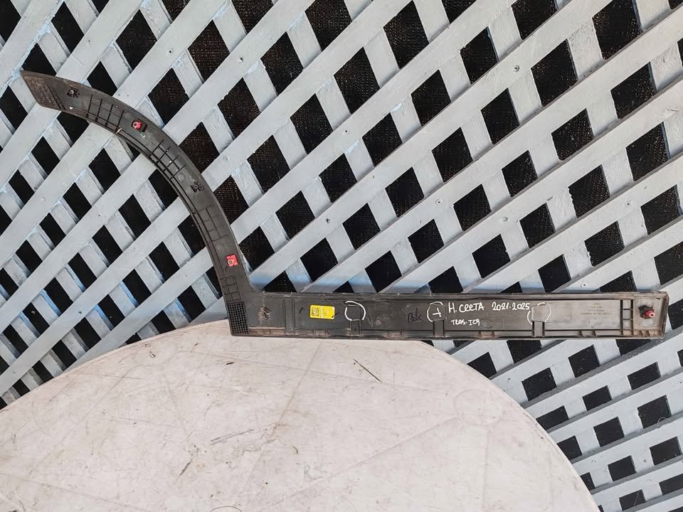 Moldura de puerta trasera izquierda Hyundai Creta 2021 - 2025 - Imagen 8