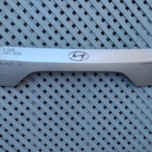Moldura de portalón Hyundai Creta 2021 - 2024