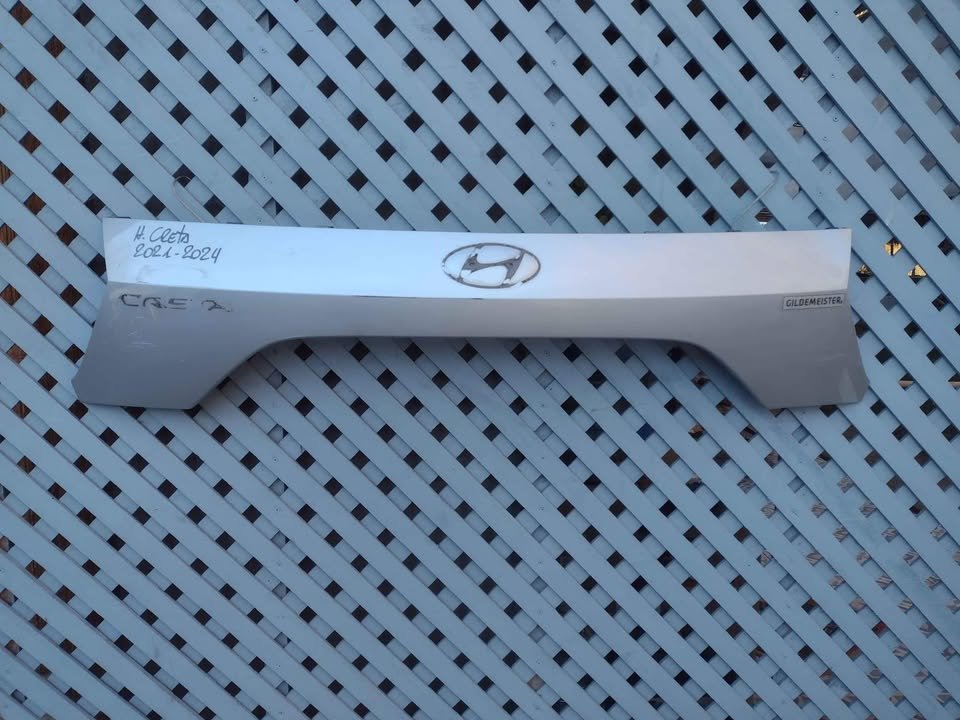 Moldura de portalón Hyundai Creta 2021 - 2024