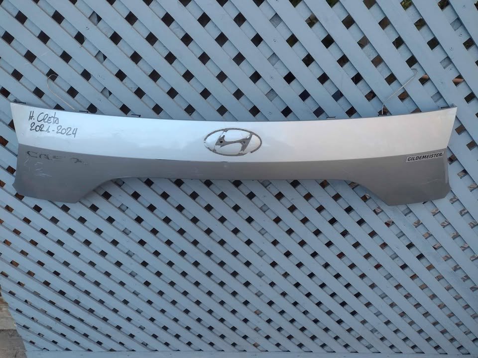Moldura de portalón Hyundai Creta 2021 - 2024 - Imagen 2