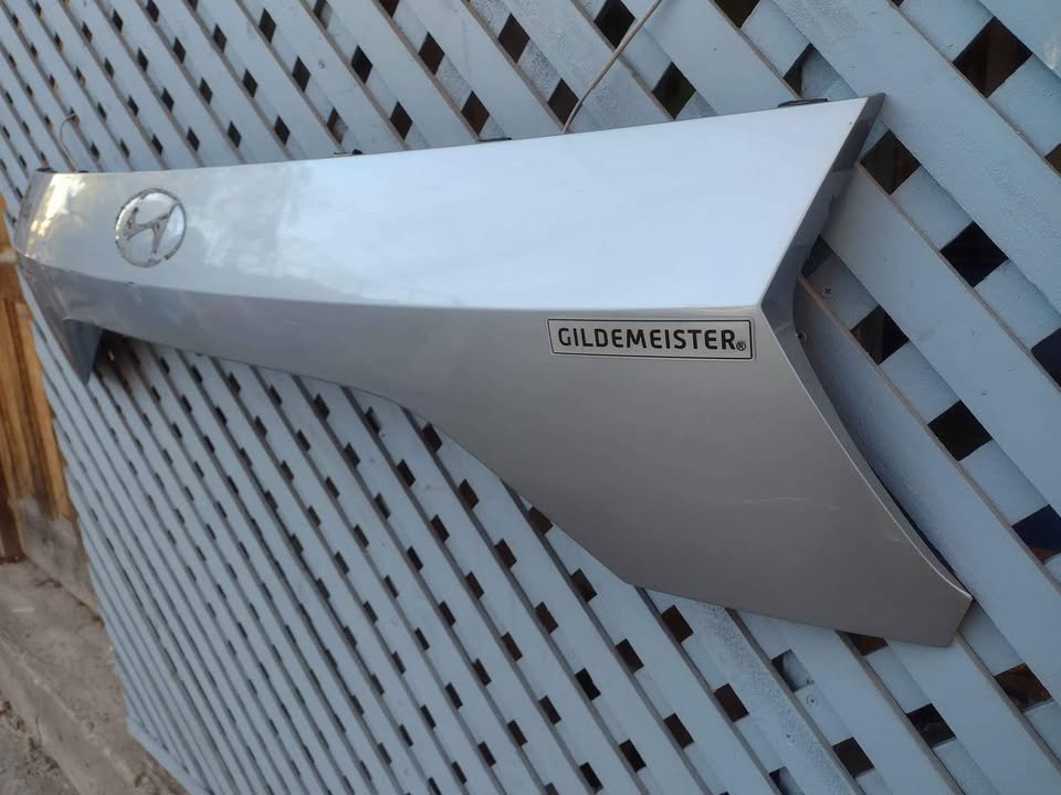 Moldura de portalón Hyundai Creta 2021 - 2024 - Imagen 4
