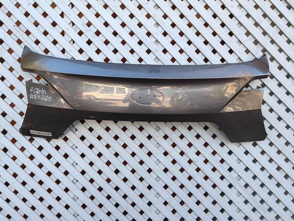 Moldura de portalón Hyundai Creta 2024 - 2025