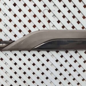 Moldura de puerta trasera derecha JAC JS8 2022 - 2024