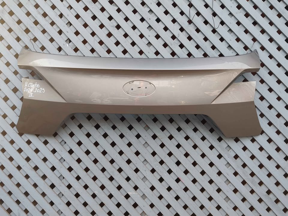 Moldura de portalón Hyundai Creta 2024 - 2025 (III)